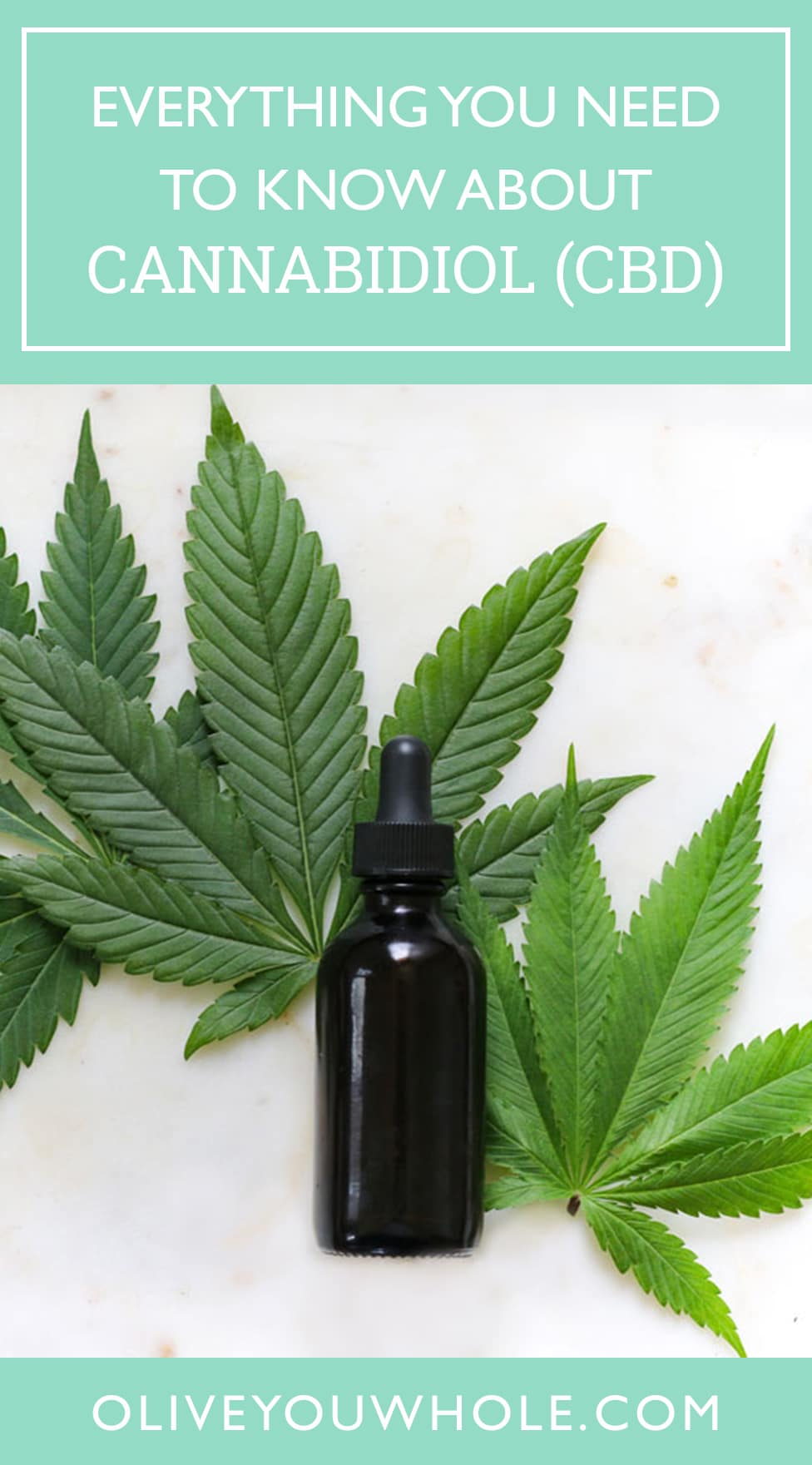 Everything you Need to Know about CBD - Olive You Whole